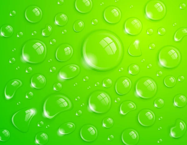 Yeşil su damlaları — Stok Vektör