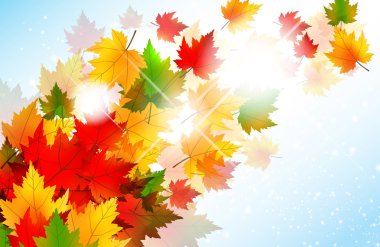 Vibrant Autumn Maple Leaf Background clipart