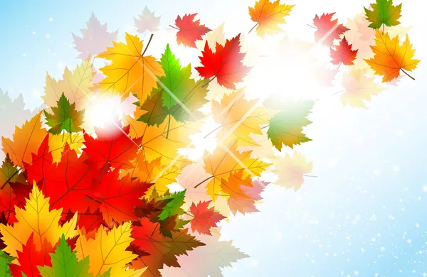 Vibrant Autumn Maple Leaf Background — Stock Vector