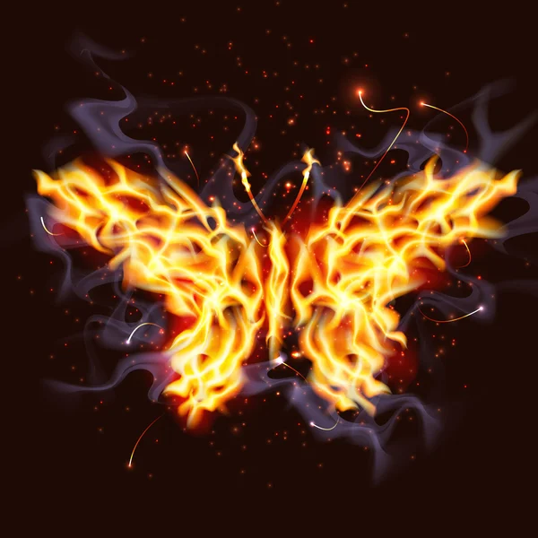 Fiery Butterfly — Stock Vector