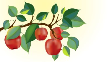 beautiful red apple branch clipart