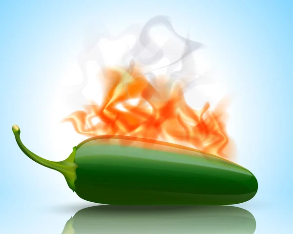 Brinnande heta jalapeno peppar — Stock vektor