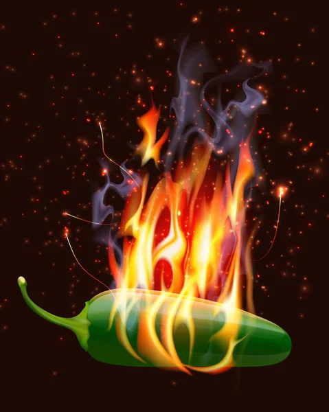 Burning Hot Jelapeno Pepper — Stock Vector