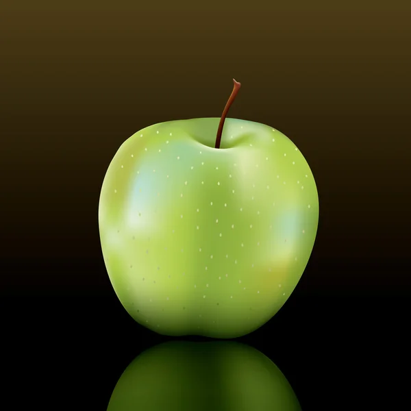 Бабуся Сміт apple — стоковий вектор