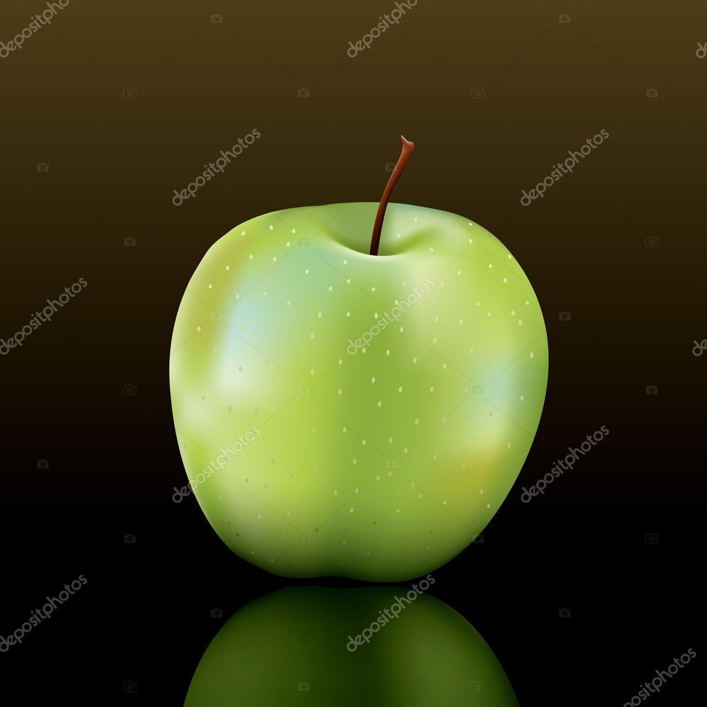 Granny smith apple Vector Art Stock Images | Depositphotos