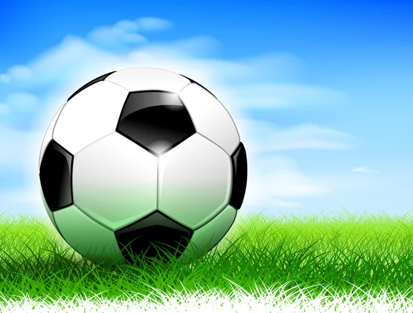 Balón de fútbol en el campo — Vector de stock
