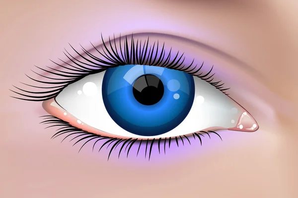 Schöne weibliche Augen — Stockvektor