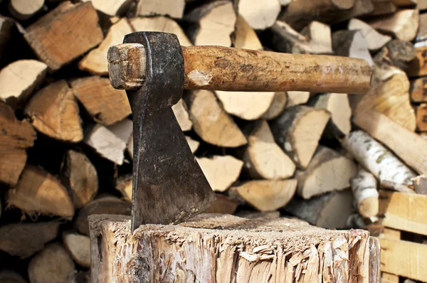 stock image Massive ax stuck in a beech stub