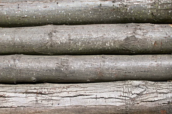 Stock image Wood texture