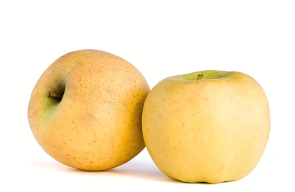 Dos manzanas — Foto de Stock