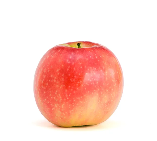Senhora rosa maçã solitária — Fotografia de Stock
