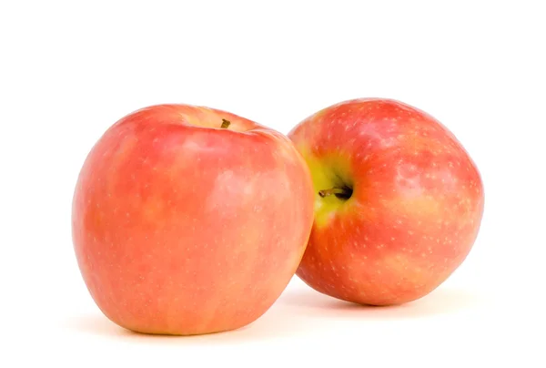 Duas maçãs Rosa Senhora — Fotografia de Stock