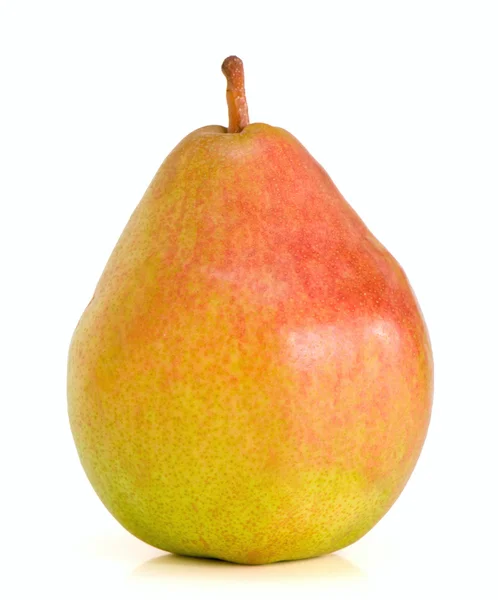 Lonely Belgian pear — Stock Photo, Image