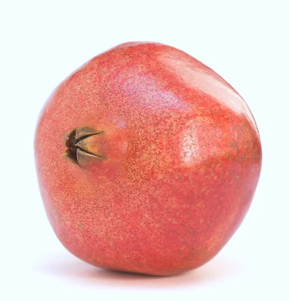 Osamělý granátového jablka — Stock fotografie