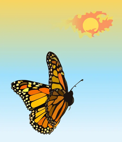 Летающая бабочка — стоковое фото