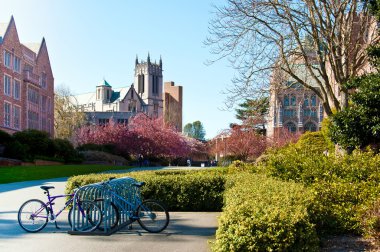 University of Washigton, blue bicycles clipart