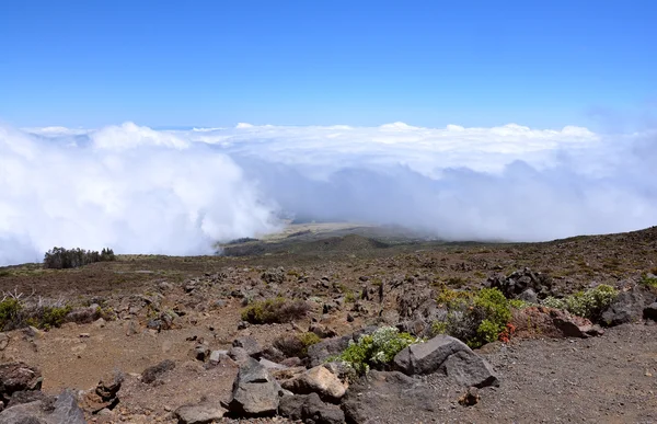 stock image On the summit of Haleakala volcano