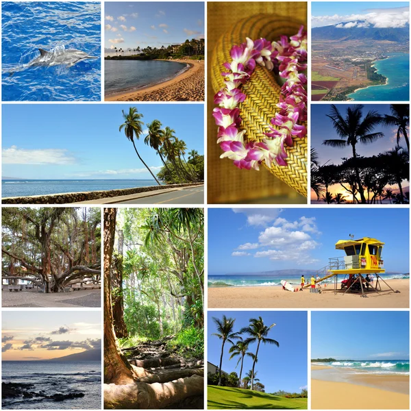Hawaii travel collage — Stock Photo, Image
