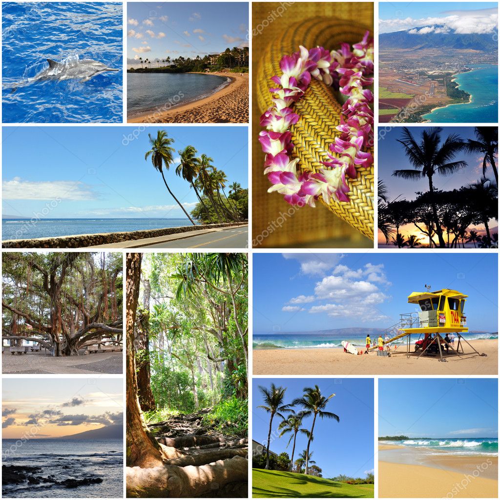 Hawaii Collage Wallpaper