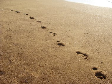 Footprints in the Sand clipart