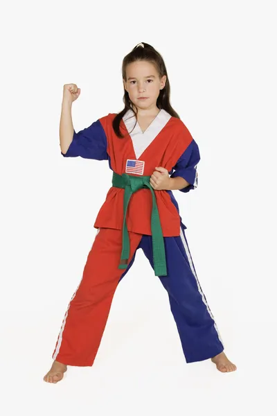 stock image Martial Arts