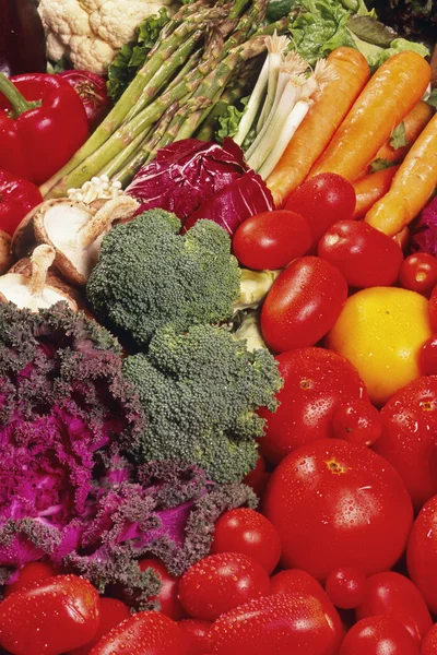 Stock image Garden Vegetables