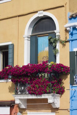 Burano Venedik İtalya