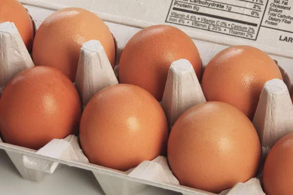 Jajko w kartonie — Zdjęcie stockowe