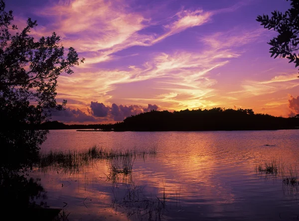 Everglades-Nationalpark — Stockfoto