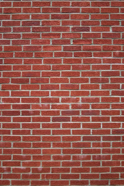 stock image Brick Wall