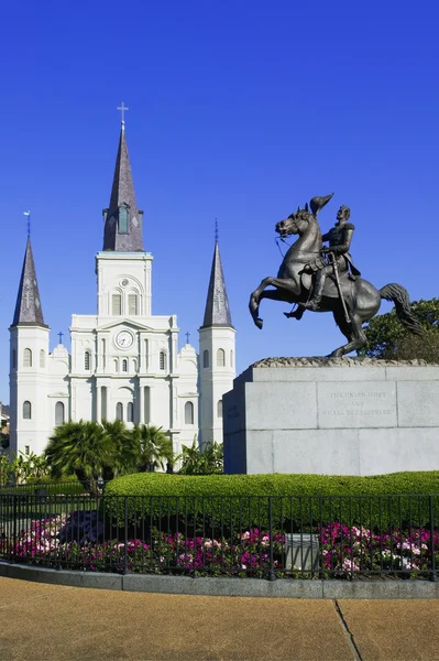 St louis cathedral — Stockfoto