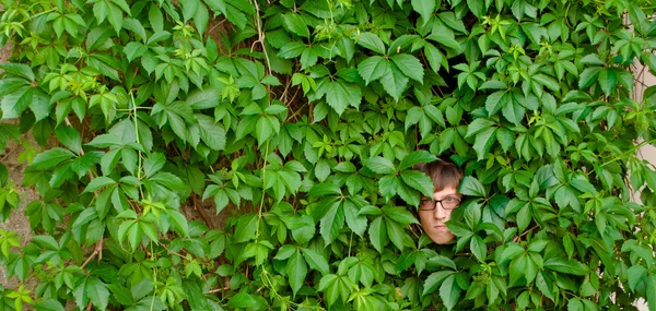 Face among ivy. — Stock Photo, Image