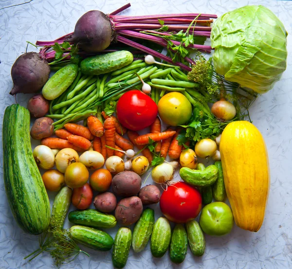 stock image Group of different vegetables.