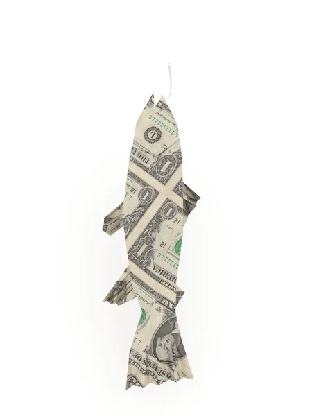 Dollar fish symbolizing the catch isolated on white background — Stock Photo, Image