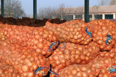 Agricultural Warehouse - Red Onion Mesh Bags clipart