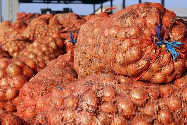 Cebola fresca no pacote de saco de malha — Fotografia de Stock