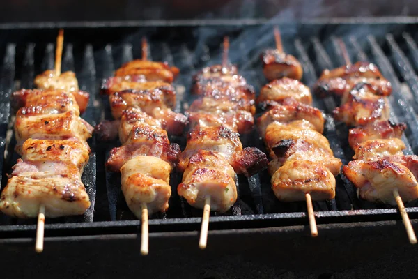 Sappige plakjes vlees op een grill — Stockfoto