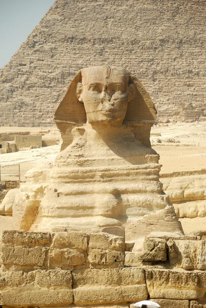 Sfinge in Egitto Fotografia Stock