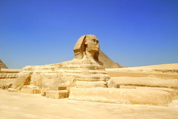 Sfinge in Egitto Immagini Stock Royalty Free