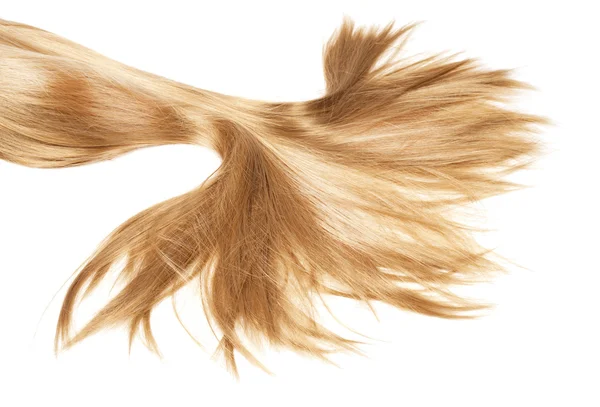 Cabelo saudável — Fotografia de Stock