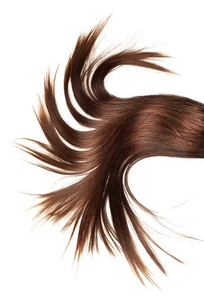 Здоровые волосы — стоковое фото