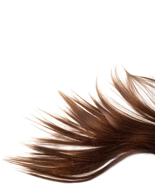 Egészséges haj — Stock Fotó