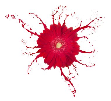 Red flower clipart