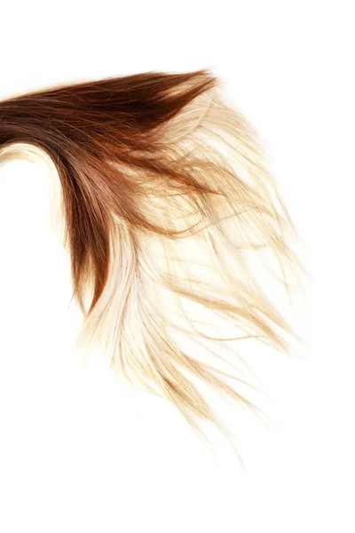 Zdravé vlasy — Stock fotografie