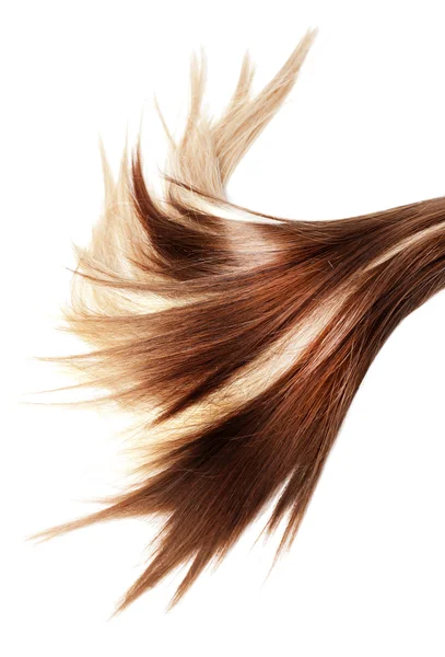 Zdravé vlasy — Stock fotografie