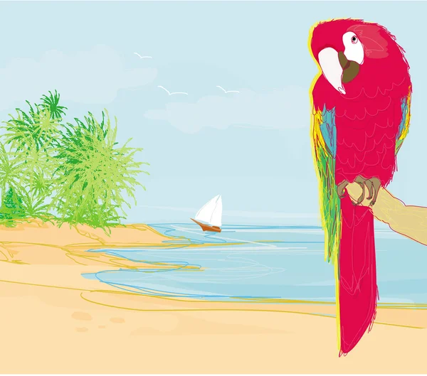 Colorato uccello pappagallo seduto sul posatoio sulla spiaggia — Foto Stock