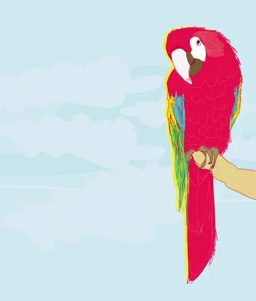 Kleurrijke papegaai vogel zittend op de baars — Stockfoto