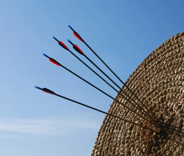 Blank archery target with arrows in the centre — Stock Photo, Image