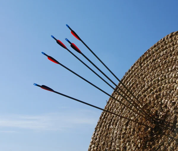 Cible de tir à l'arc vierge avec des flèches au centre Image En Vente