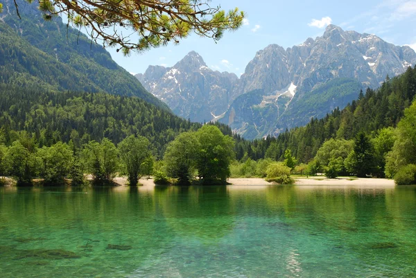 Jasna sjö i Slovenien Stockbild
